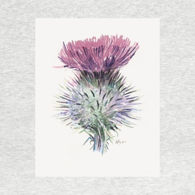 Scottish Thistle by arlyon